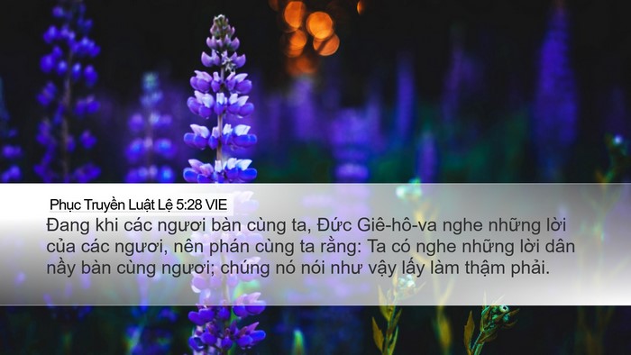 Phục Truyền Luật Lệ 5:28 VIE Bible Verse Image