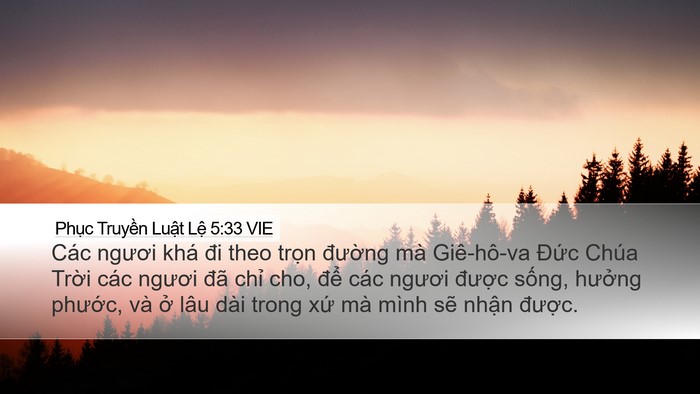 Phục Truyền Luật Lệ 5:33 VIE Bible Verse Image