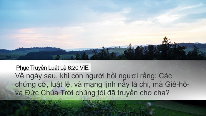 Phục Truyền Luật Lệ 6:20 VIE Bible Verse Image