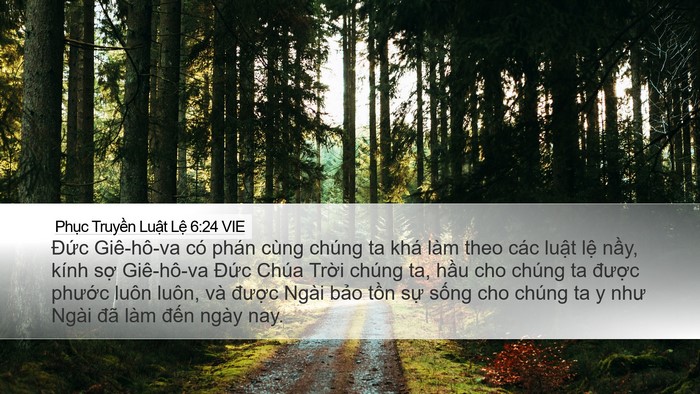 Phục Truyền Luật Lệ 6:24 VIE Bible Verse Image