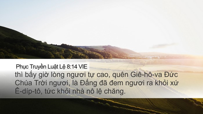 Phục Truyền Luật Lệ 8:14 VIE Bible Verse Image