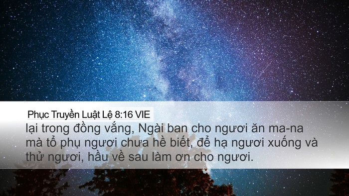 Phục Truyền Luật Lệ 8:16 VIE Bible Verse Image