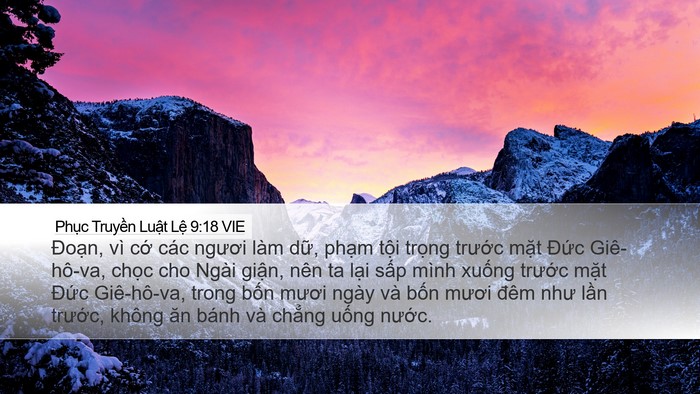 Phục Truyền Luật Lệ 9:18 VIE Bible Verse Image