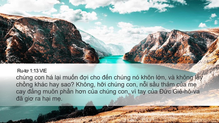 Ru-tơ 1:13 VIE Bible Verse Image