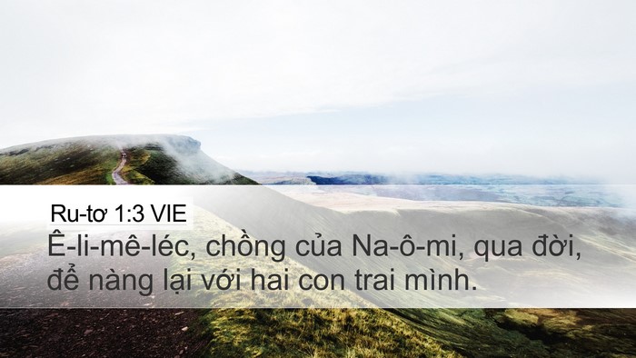 Ru-tơ 1:3 VIE Desktop Wallpaper - Ê-li-mê-léc, chồng của Na-ô-mi, qua - Desktop Bible Verse Wallpaper