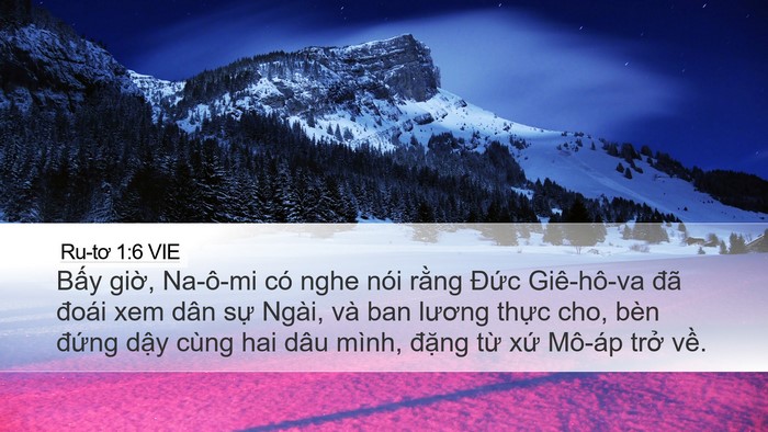 Ru-tơ 1:6 VIE Bible Verse Image