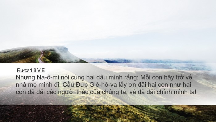 Ru-tơ 1:8 VIE Bible Verse Image