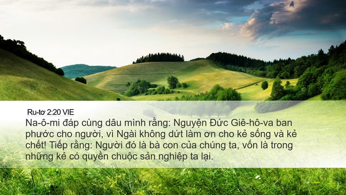 Ru-tơ 2:20 VIE Bible Verse Image