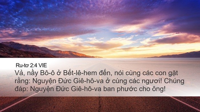 Ru-tơ 2:4 VIE Desktop Wallpaper - Vả, nầy Bô-ô ở Bết-lê-hem đến, nói - Desktop Bible Verse Wallpaper