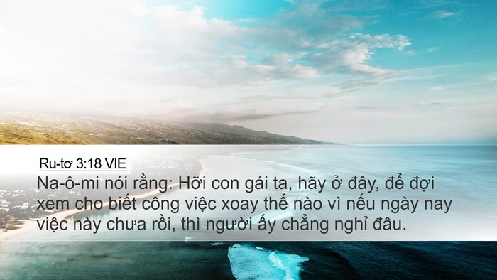Ru-tơ 3:18 VIE Bible Verse Image