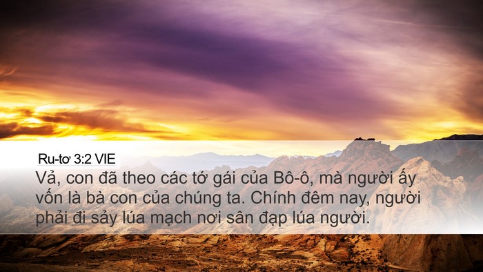 Ru-tơ 3:2 VIE Desktop Wallpaper - Vả, con đã theo các tớ gái của Bô-ô, - Desktop Bible Verse Wallpaper
