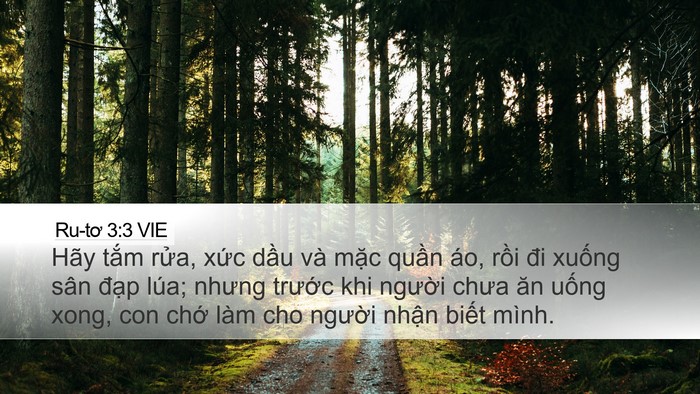 Ru-tơ 3:3 VIE Bible Verse Image