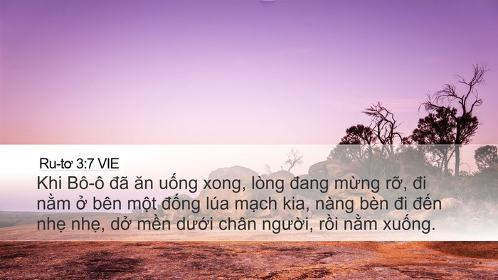 Ru-tơ 3:7 VIE Desktop Wallpaper - Khi Bô-ô đã ăn uống xong, lòng đang - Desktop Bible Verse Wallpaper