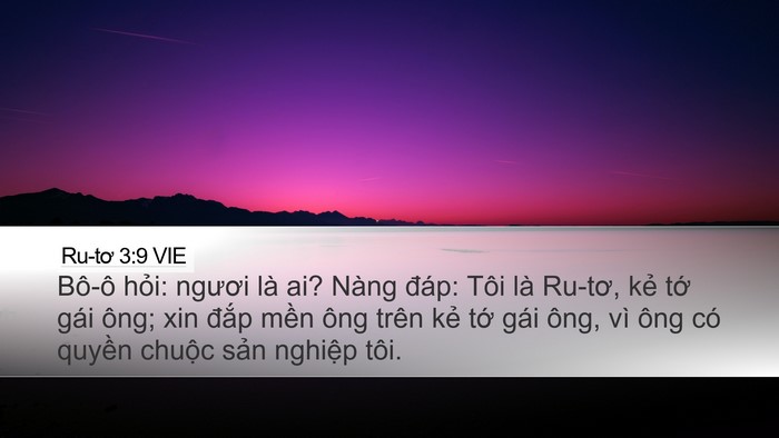 Ru-tơ 3:9 VIE Desktop Wallpaper - Bô-ô hỏi: ngươi là ai? Nàng đáp: Tôi - Desktop Bible Verse Wallpaper