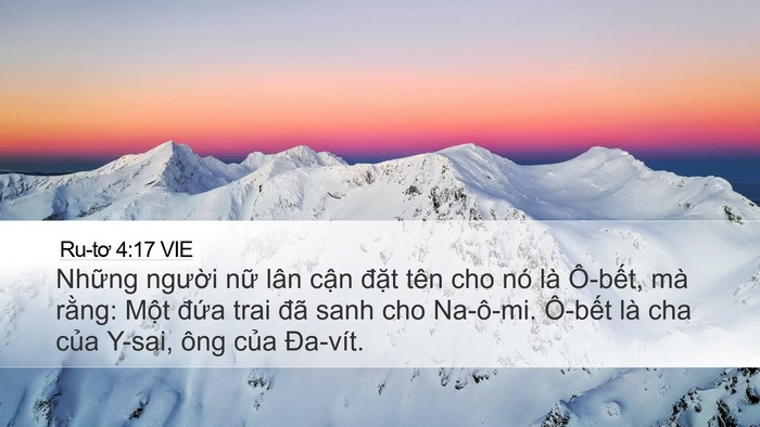 Ru-tơ 4:17 VIE Bible Verse Image