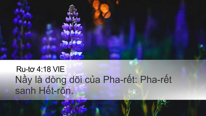 Ru-tơ 4:18 VIE Bible Verse Image
