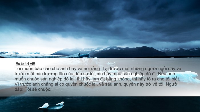 Ru-tơ 4:4 VIE Bible Verse Image