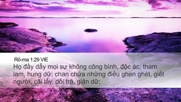 Rô-ma 1:29 VIE Bible Verse Image