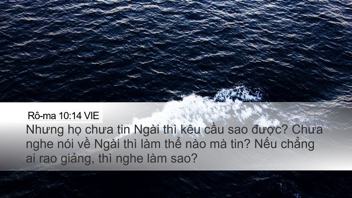 Rô-ma 10:14 VIE Bible Verse Image