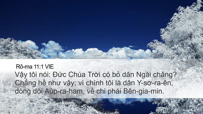 Rô-ma 11:1 VIE Bible Verse Image