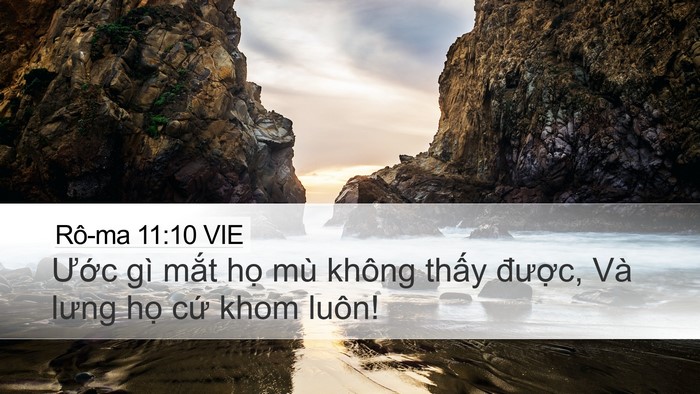 Rô-ma 11:10 VIE Bible Verse Image