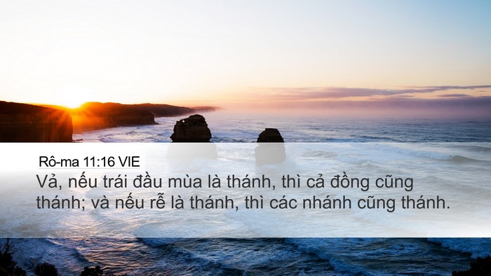 Rô-ma 11:16 VIE Bible Verse Image