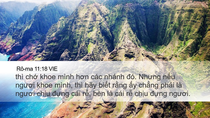 Rô-ma 11:18 VIE Desktop Wallpaper - thì chớ khoe mình hơn các nhánh đó. - Desktop Bible Verse Wallpaper