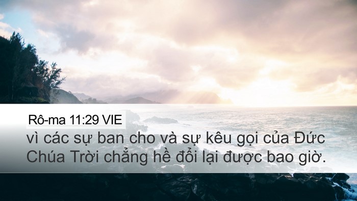 Rô-ma 11:29 VIE Bible Verse Image