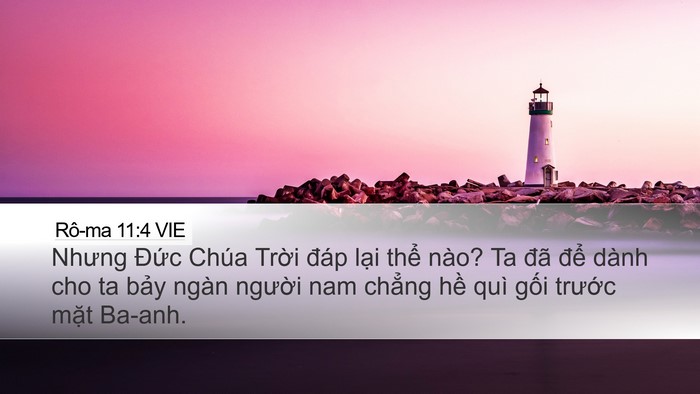 Rô-ma 11:4 VIE Bible Verse Image