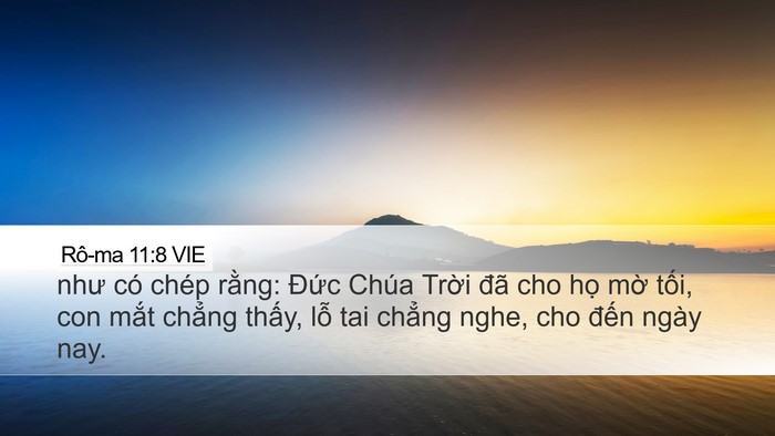 Rô-ma 11:8 VIE Bible Verse Image