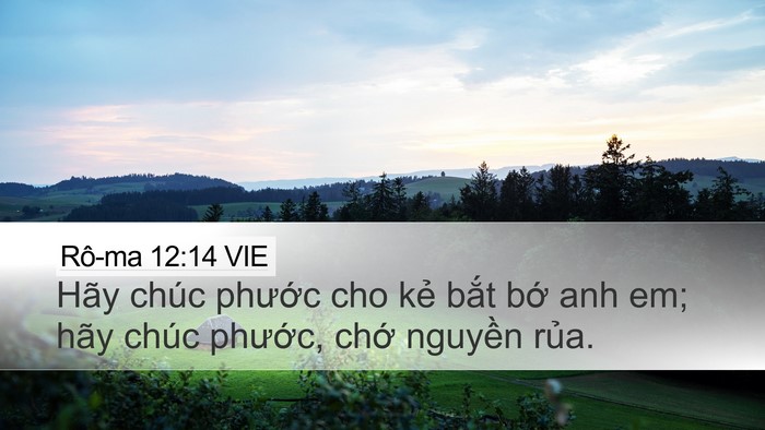 Rô-ma 12:14 VIE Bible Verse Image