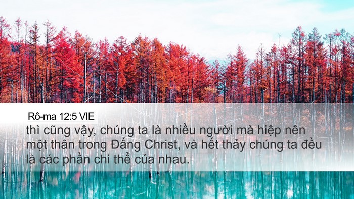 Rô-ma 12:5 VIE Desktop Wallpaper - thì cũng vậy, chúng ta là nhiều người - Desktop Bible Verse Wallpaper