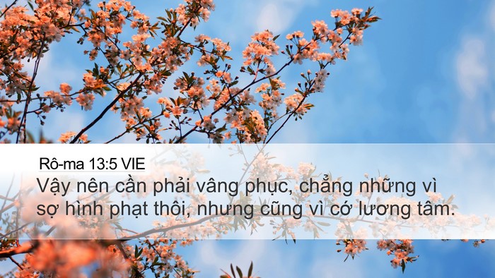 Rô-ma 13:5 VIE Bible Verse Image