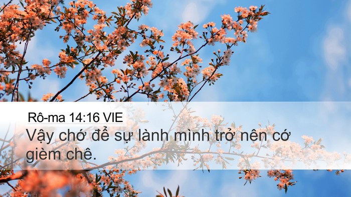 Rô-ma 14:16 VIE Bible Verse Image
