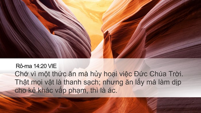 Rô-ma 14:20 VIE Bible Verse Image