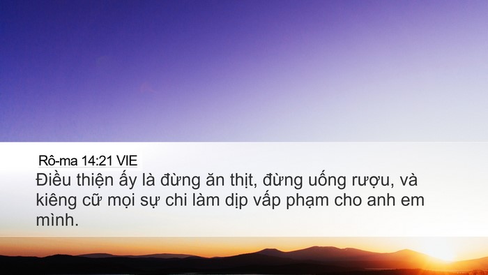 Rô-ma 14:21 VIE Bible Verse Image