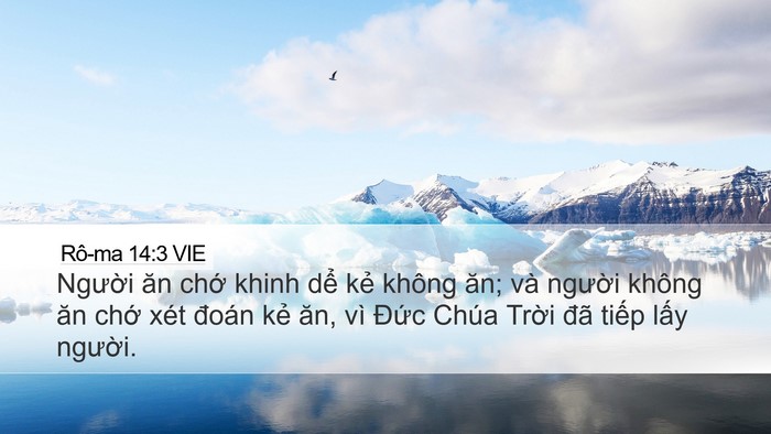 Rô-ma 14:3 VIE Bible Verse Image
