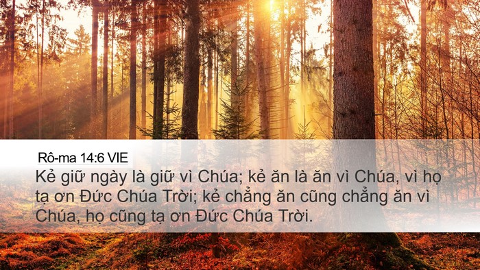 Rô-ma 14:6 VIE Bible Verse Image