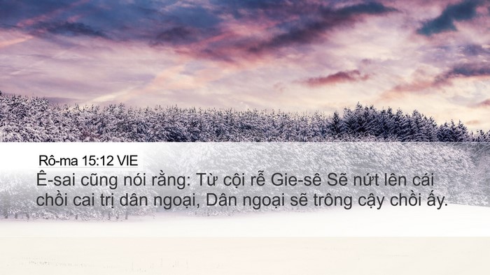 Rô-ma 15:12 VIE Bible Verse Image