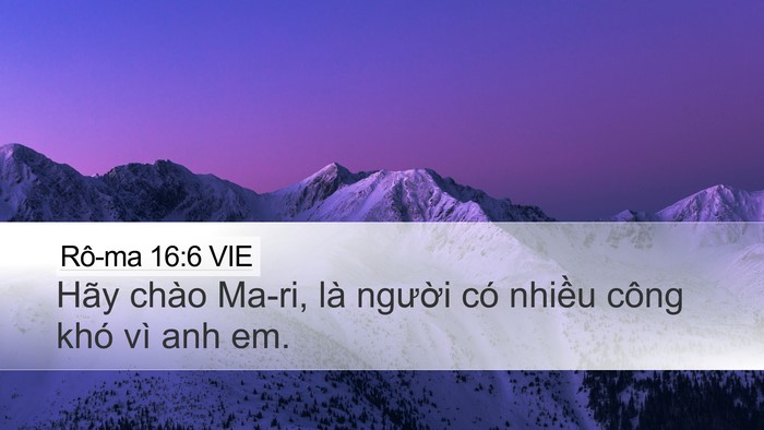 Rô-ma 16:6 VIE Bible Verse Image