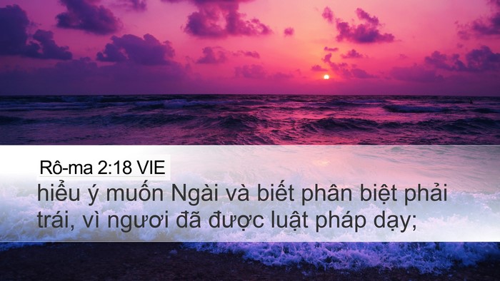 Rô-ma 2:18 VIE Bible Verse Image