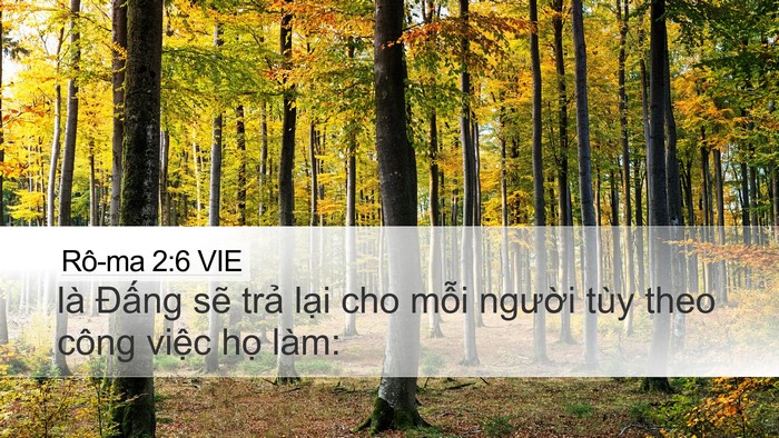 Rô-ma 2:6 VIE Bible Verse Image