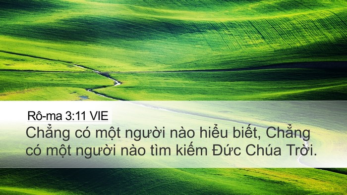 Rô-ma 3:11 VIE Bible Verse Image