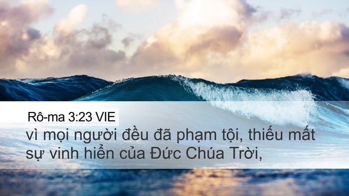 Rô-ma 3:23 VIE Bible Verse Image