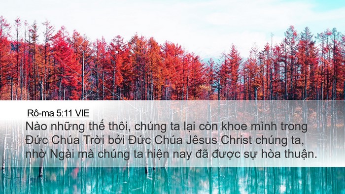 Rô-ma 5:11 VIE Bible Verse Image