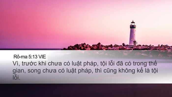 Rô-ma 5:13 VIE Bible Verse Image