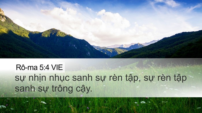 Rô-ma 5:4 VIE Desktop Wallpaper - sự nhịn nhục sanh sự rèn tập, sự - Desktop Bible Verse Wallpaper