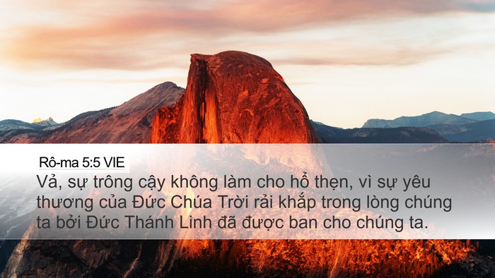 Rô-ma 5:5 VIE Bible Verse Image