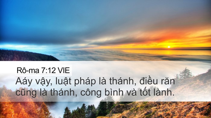 Rô-ma 7:12 VIE Bible Verse Image