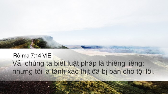 Rô-ma 7:14 VIE Bible Verse Image